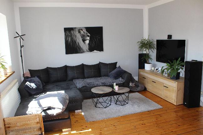 Bild11