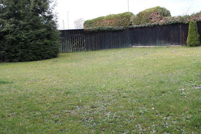 Bild29