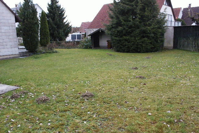 Bild19