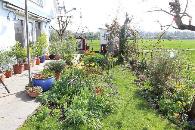 Bild8