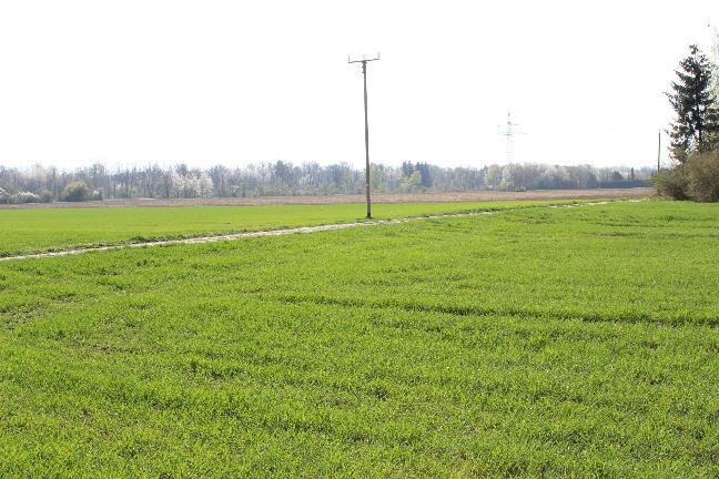 Bild3