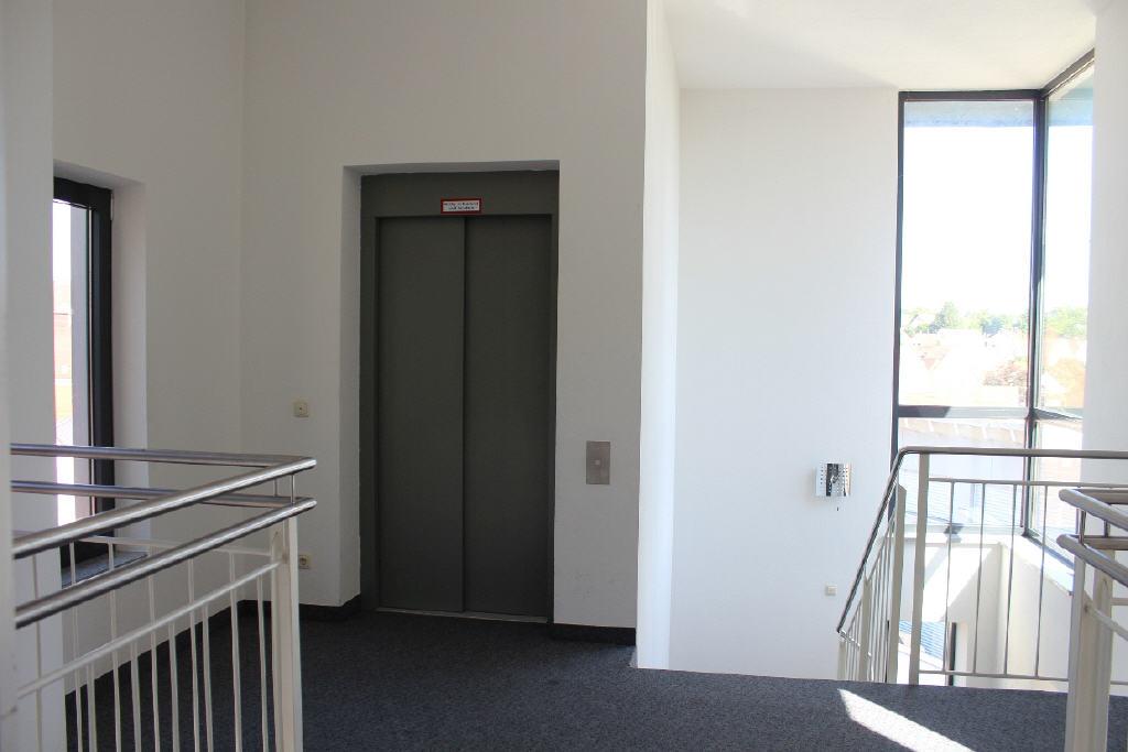 Bild11