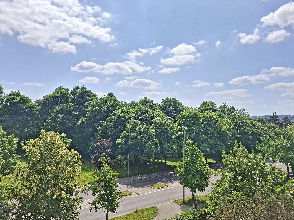 Bild1