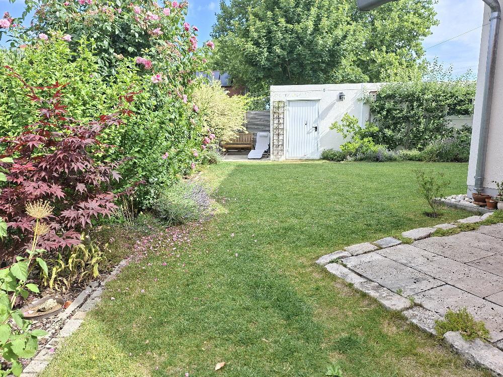 Bild19