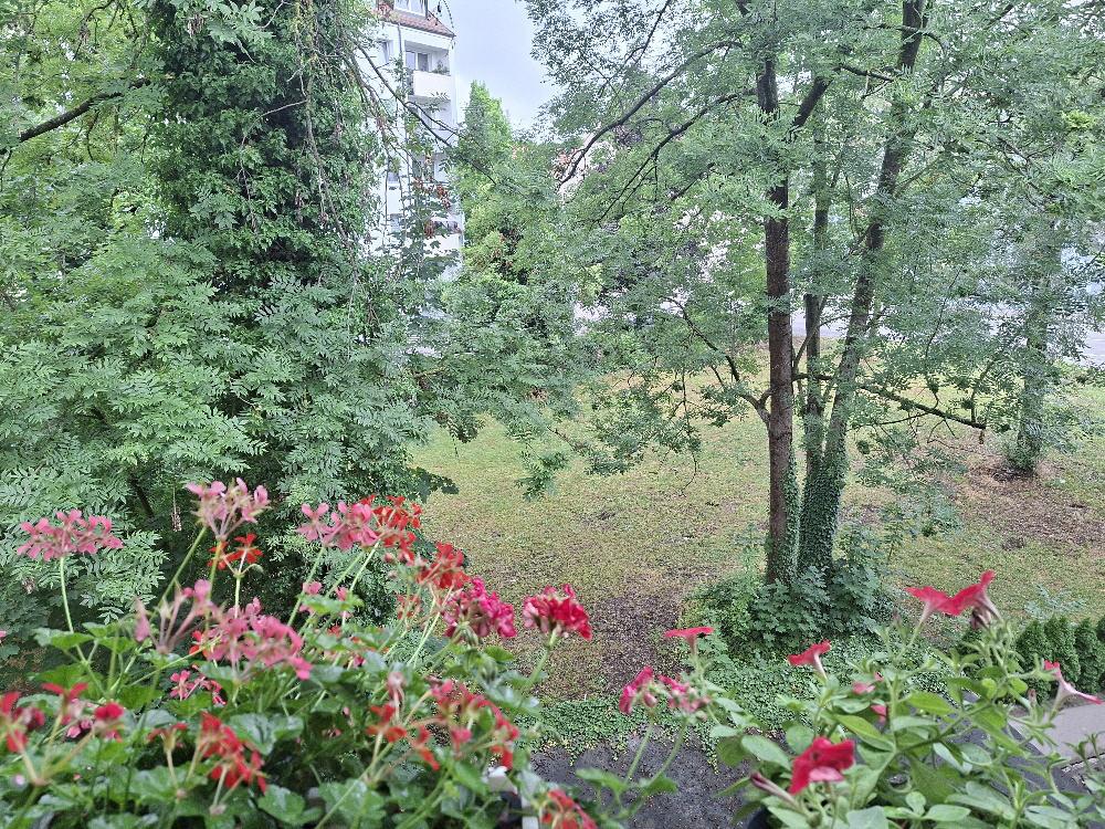 Bild18