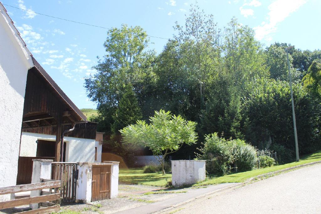 Bild3