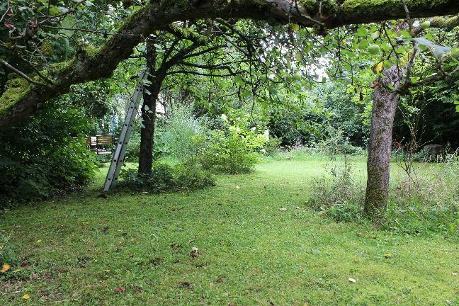 Bild5