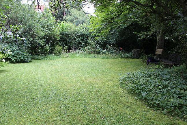 Bild8
