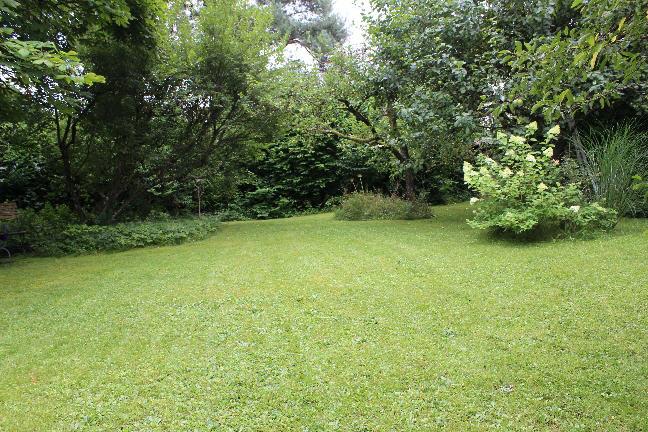 Bild2