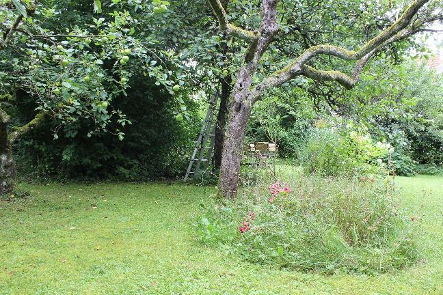 Bild11