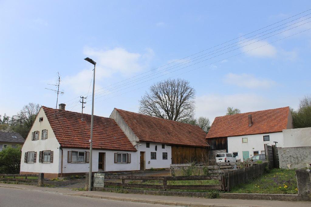 Bild3
