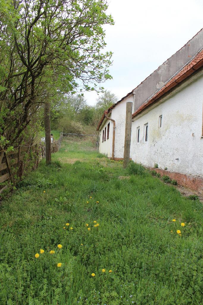 Bild6