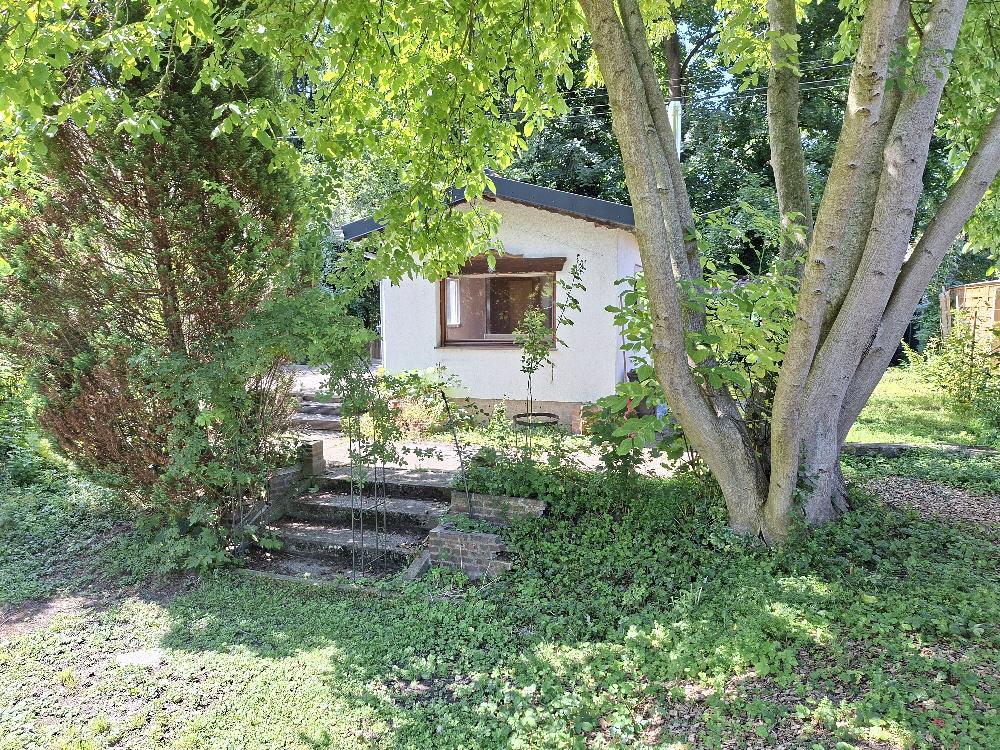 Bild13