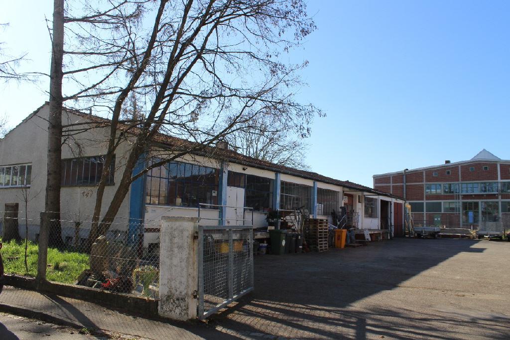 Bild3