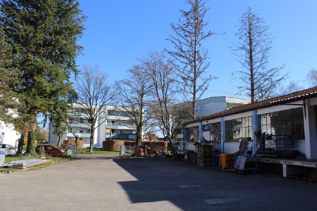 Bild2