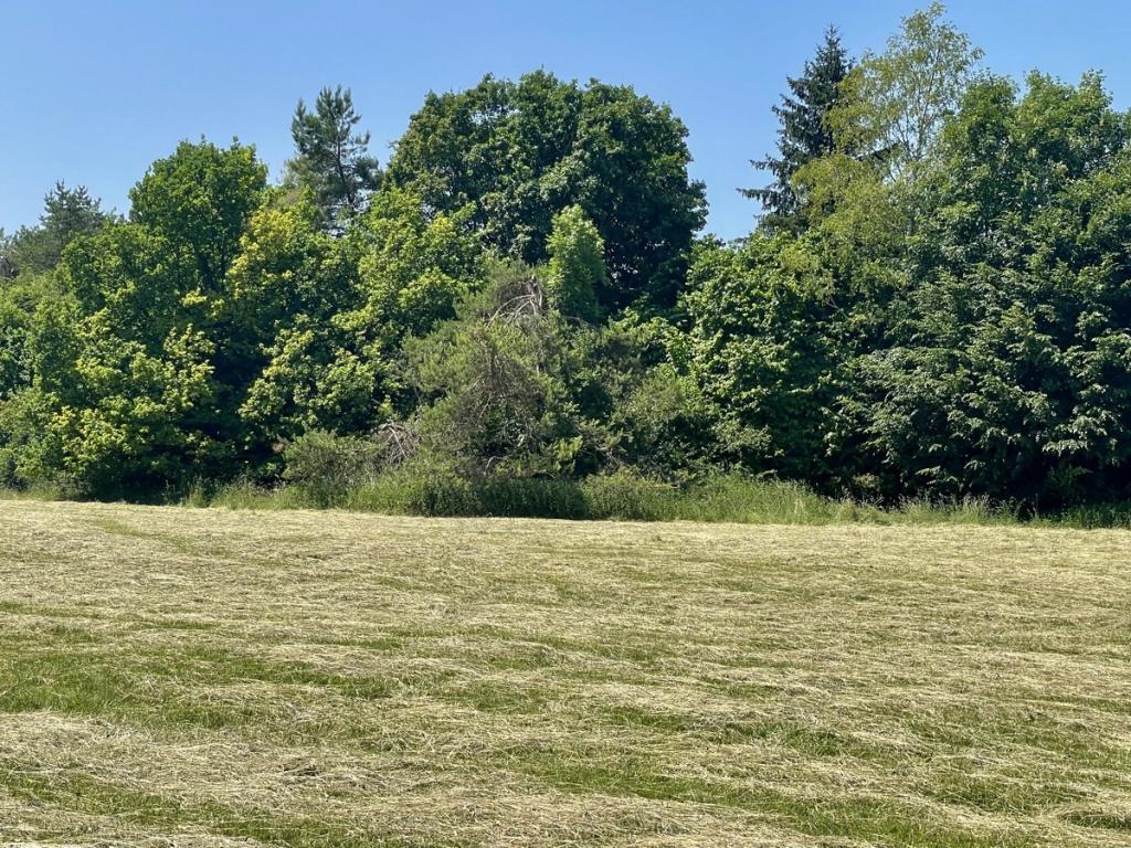 Grundsück Rückseite -Heide