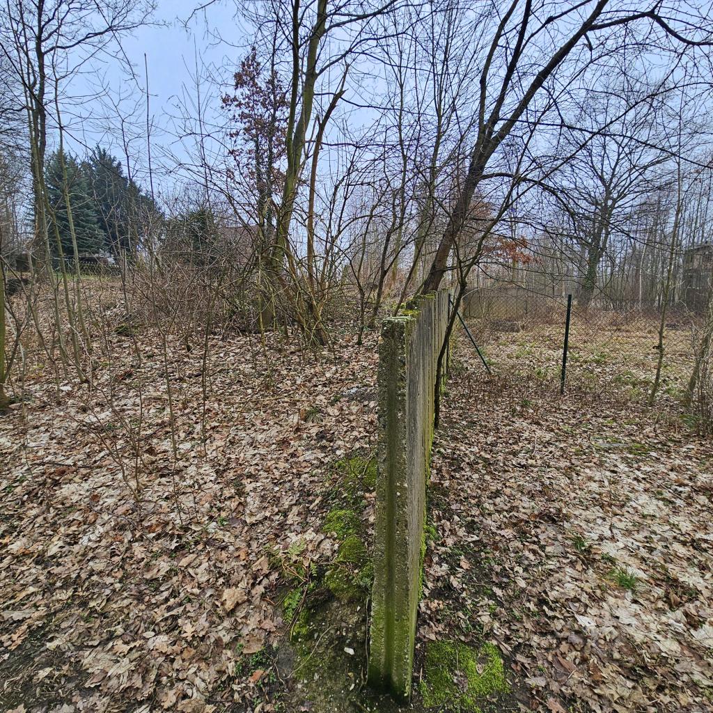 c54c6dda-f4e7-4684-94fb-d183677293dd.jpg