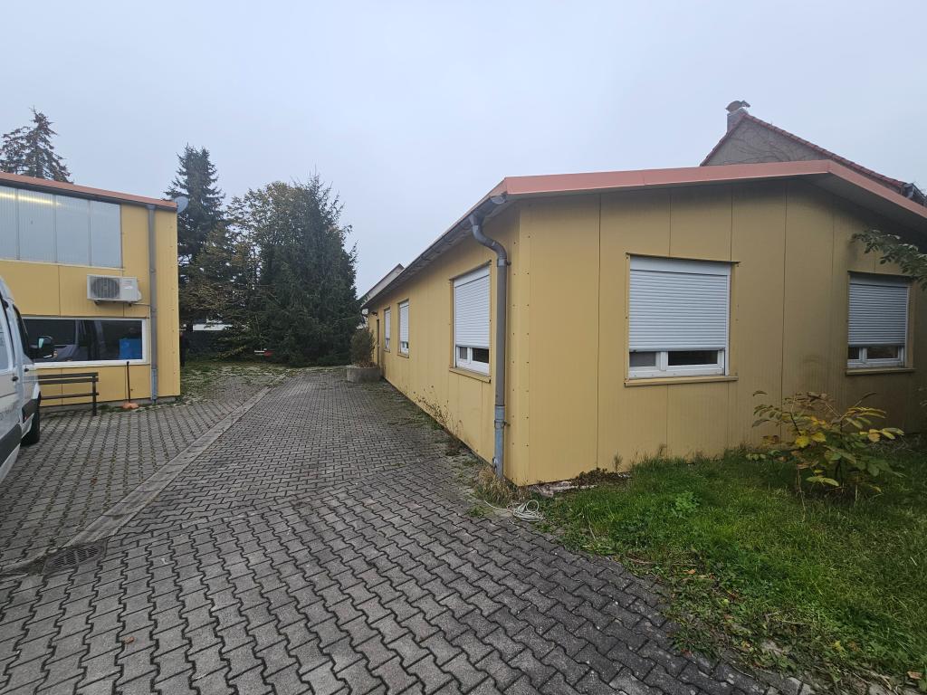 1f4ede8e-596f-413d-99d7-2725e0004a56.jpg
