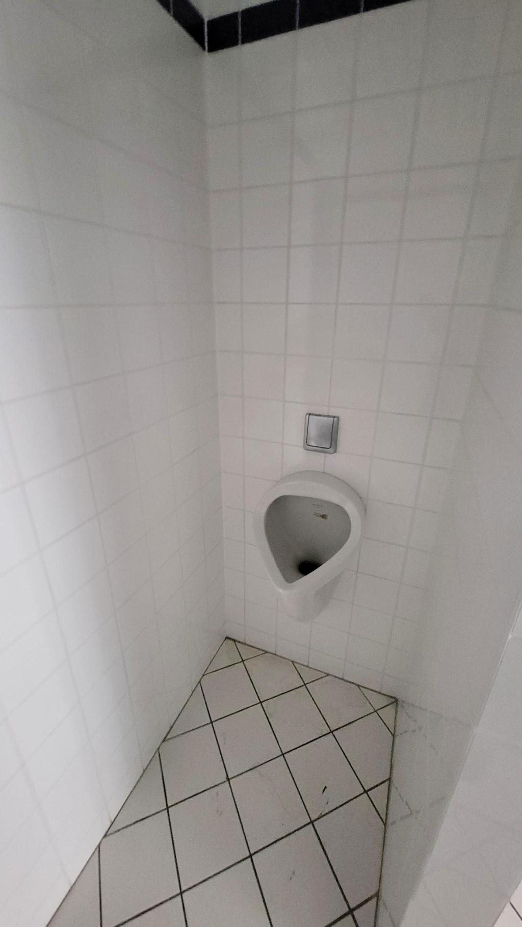 14cea966-3c34-484b-a2da-eba296cac543.jpg