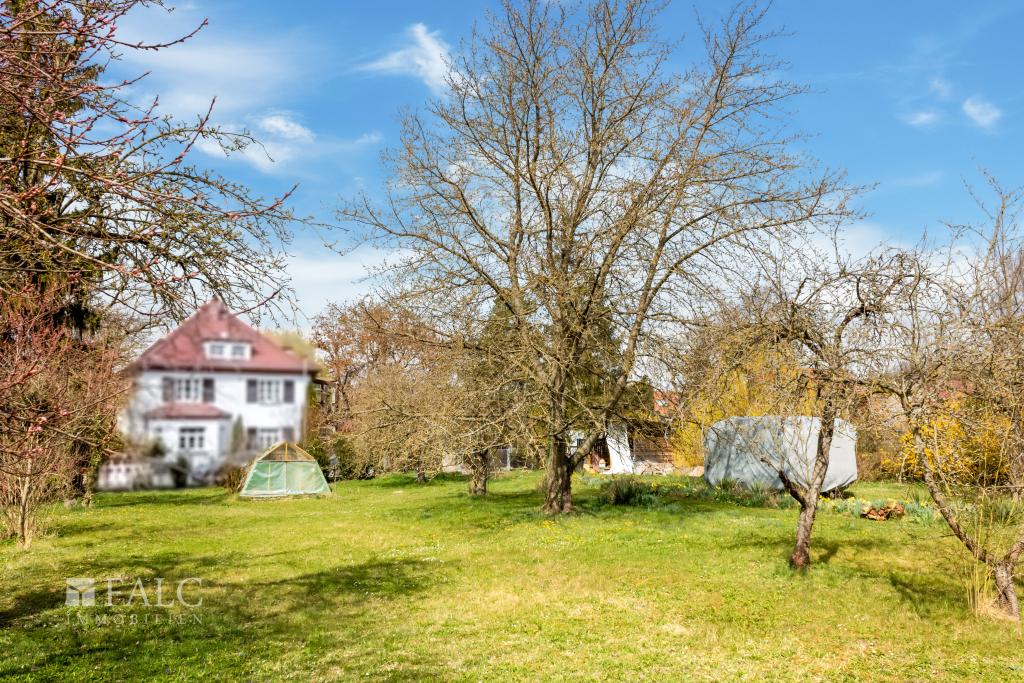 Blick zur Straße