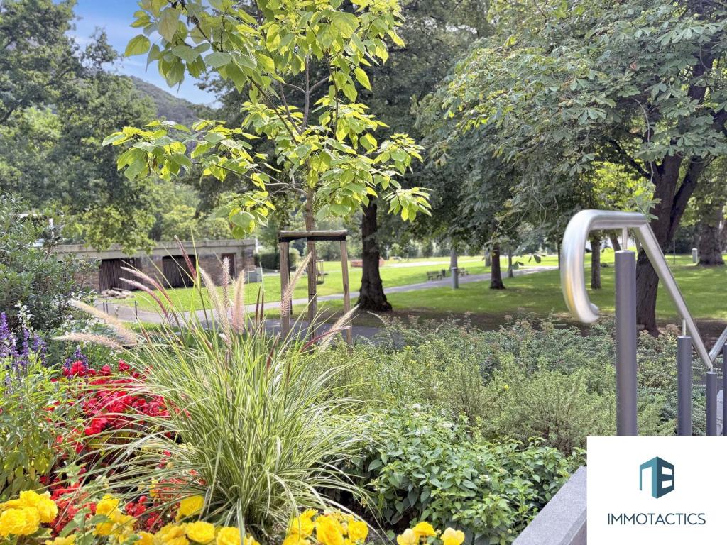 Park