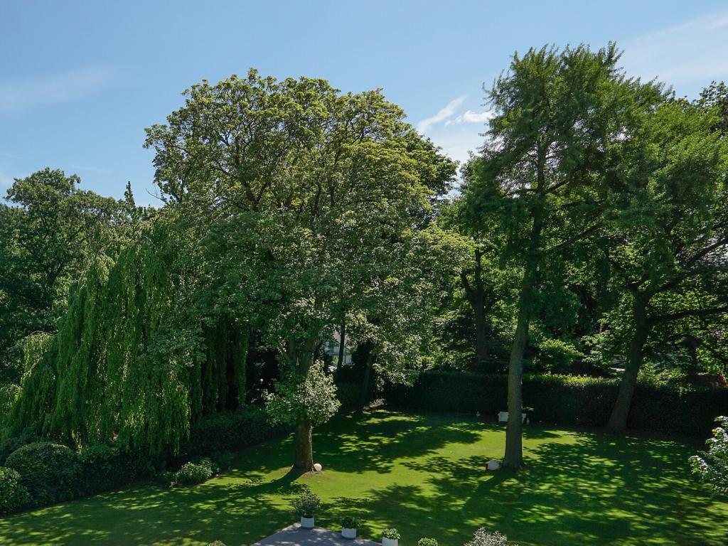 Baugrundstück hinterer Grundstücksbereich