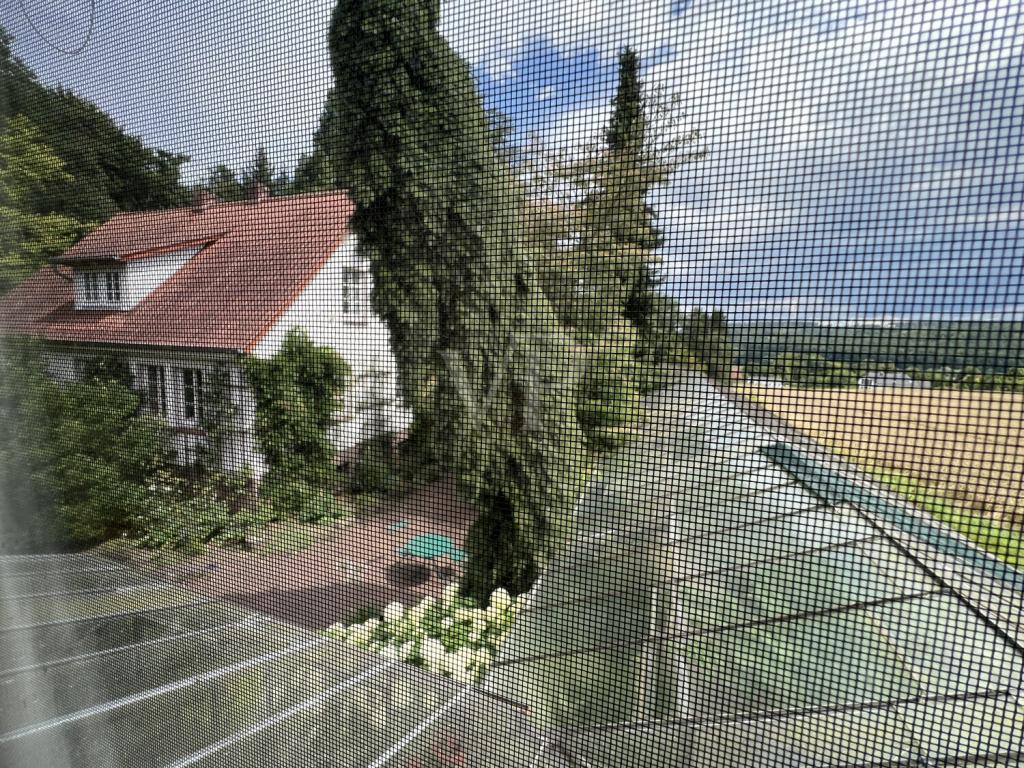 Gewächshaus/Wintergarten zwischen den Gebäuden