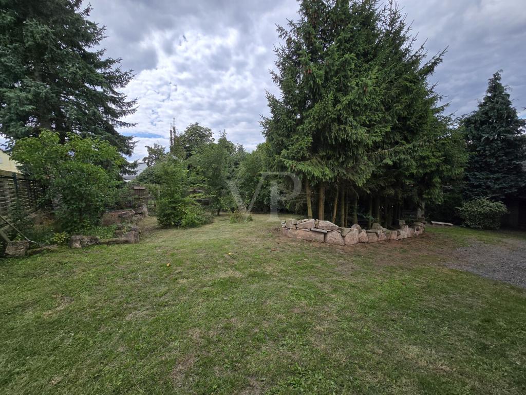 hinteres Gartengrundstück Bereich Wiese