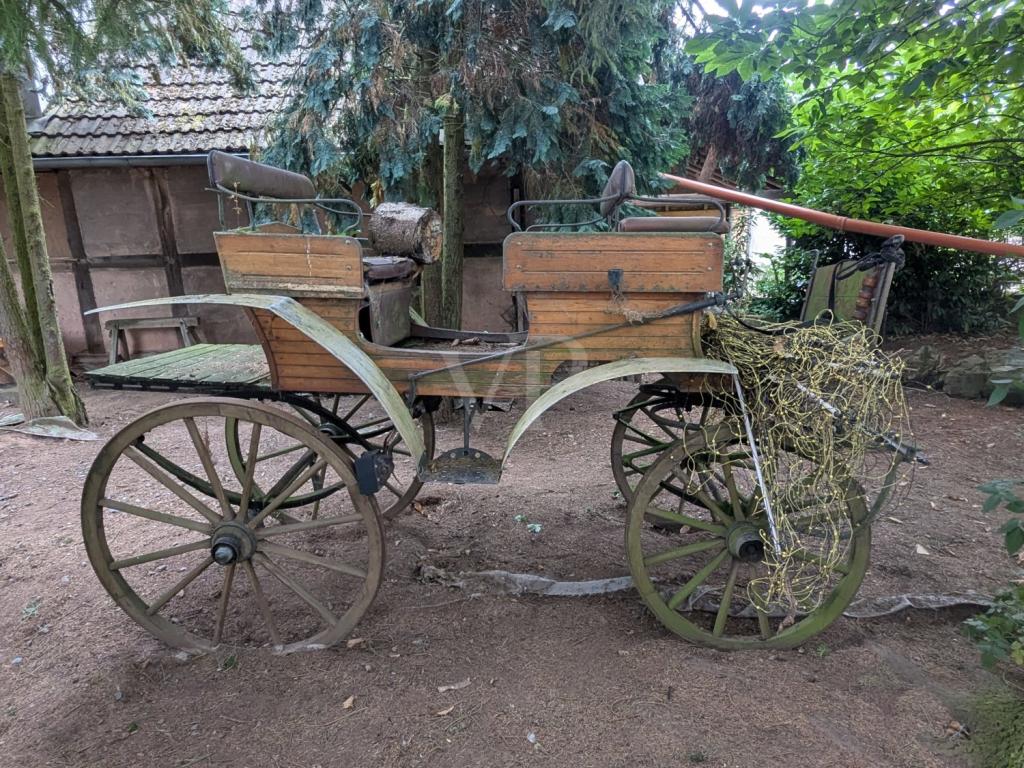 24.461.032. Bild kutsche 2