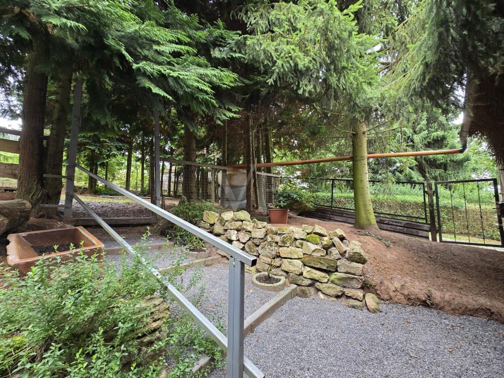 hinteres Gartengrundstück Detail 01 