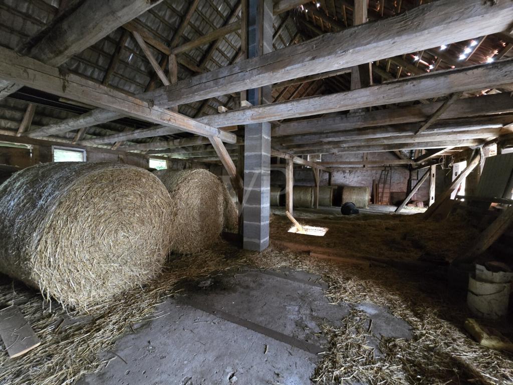 Detail Stallung 02
