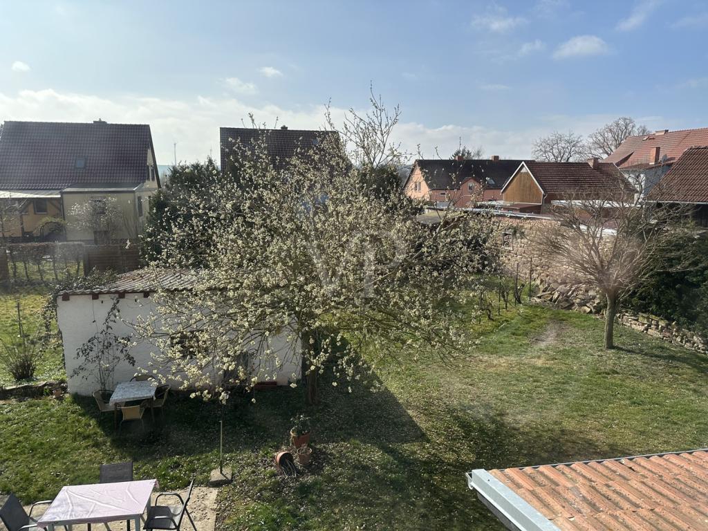 Blick in den Garten 