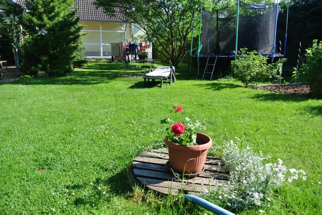 Ansicht 01 Gartenbereich