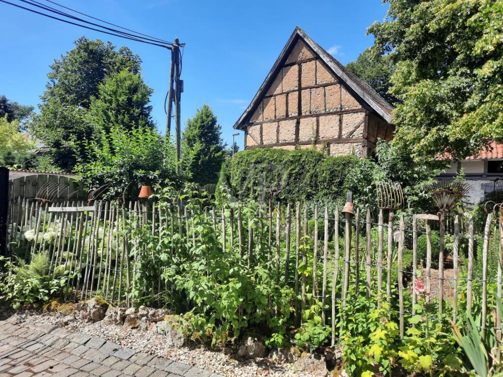 Gartenbereich 02 Südseite