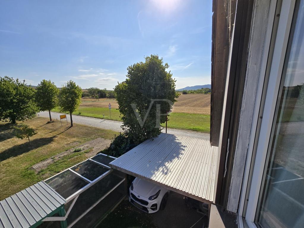 DG mit Blick Kyffhäuser