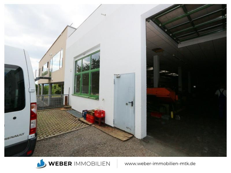 Bereich des Fensters für neues Tor