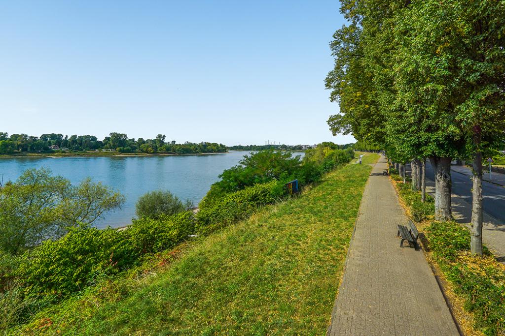 Rheinblick