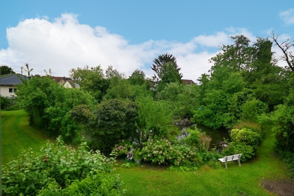 Blick ins Grüne