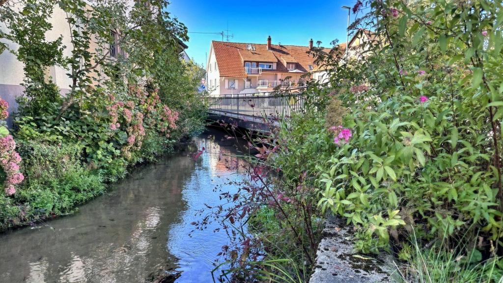 Vor dem Haus