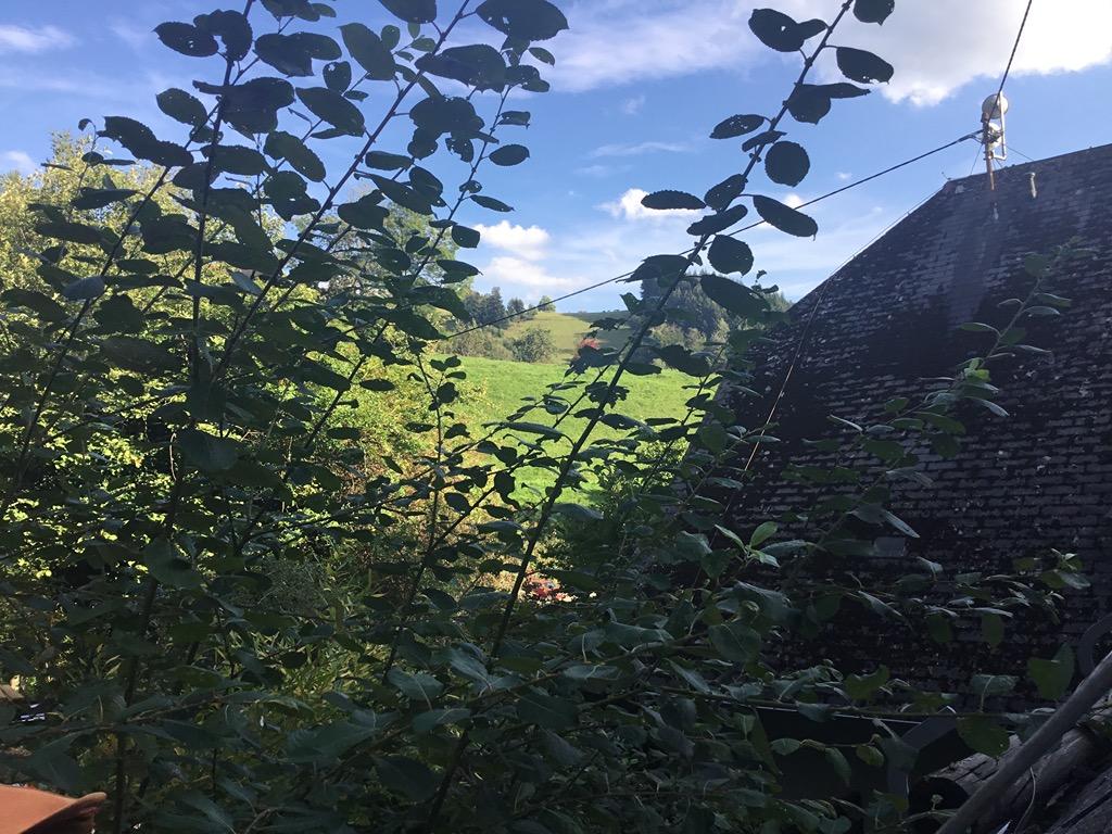 Wohnung in Bollschweil - Foto 3