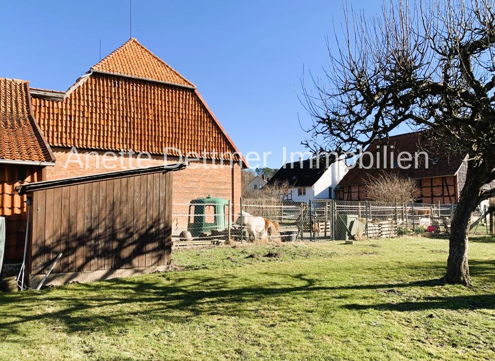 Teil des Gartens mit Scheune