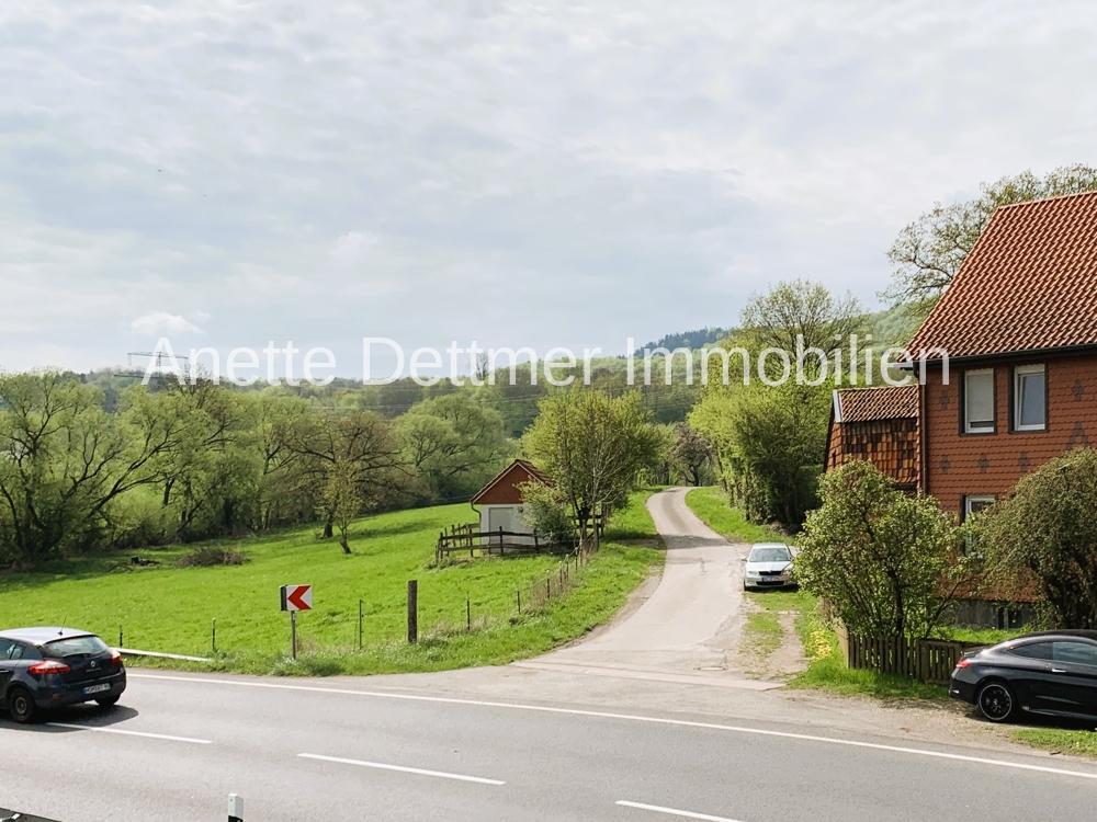 Ausblick