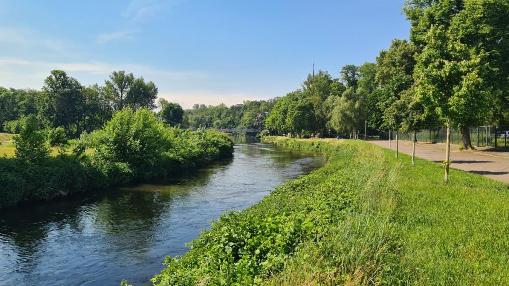 Umgebung_Mulde