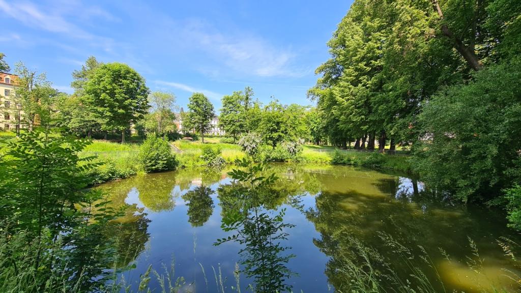 Umgebung_Teich