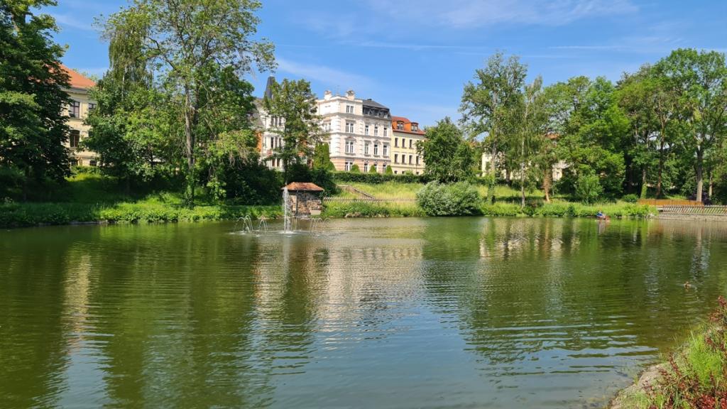 Umgebung_Teich1