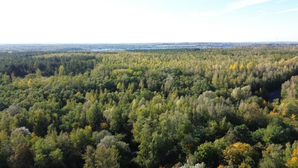 Aussicht