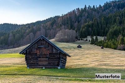 Keine Originalbilder