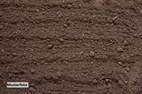 Keine Originalbilder