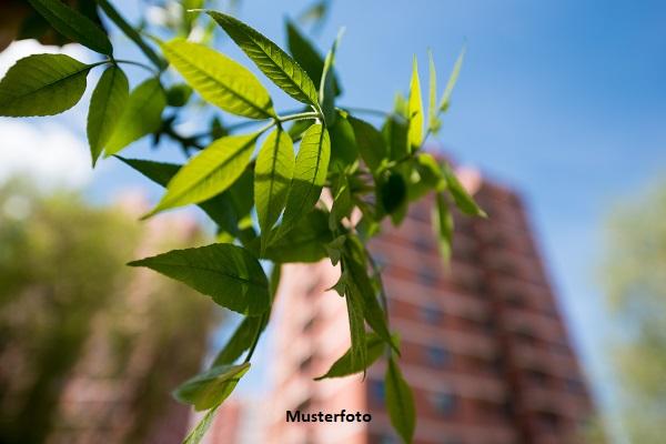 Großzügige 2-Zimmer-Wohnung nebst Loggia