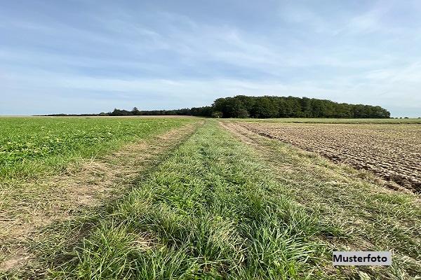 Keine Originalbilder